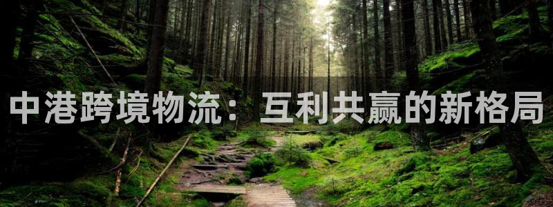 豪门国际是正规平台吗：中港跨境物流：
