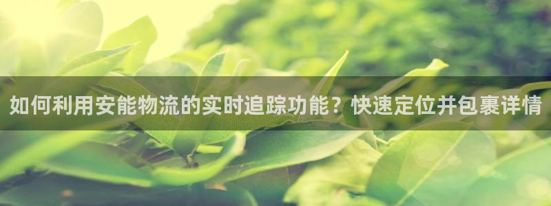 豪门国际比特28真实吗：如何利用安能