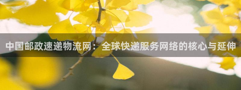 豪门国际绿骨头：中国邮政速递物流网：