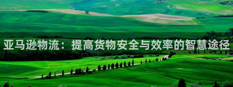 豪门国际反水什么时候到：亚马逊物流：