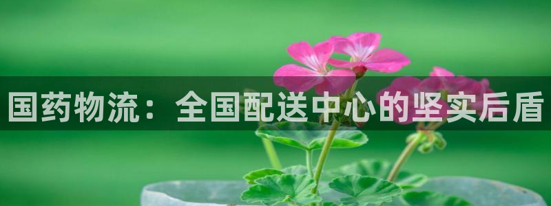 豪门国际是干嘛的