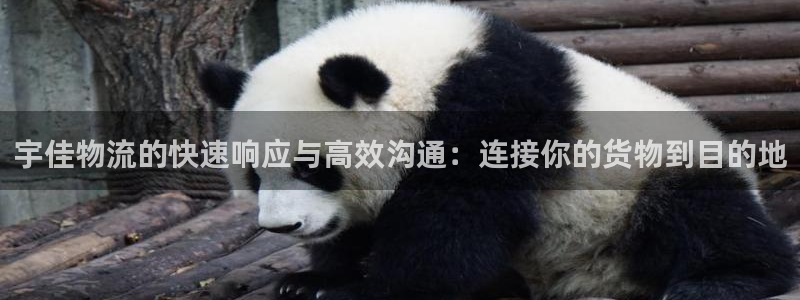 豪门国际娱乐官网网页：宇佳物流的快速