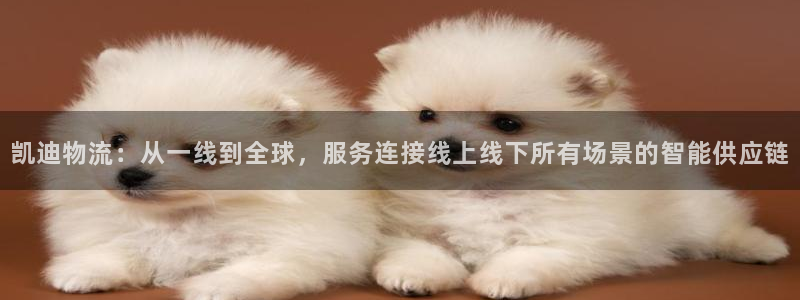 豪门国际防失联网址