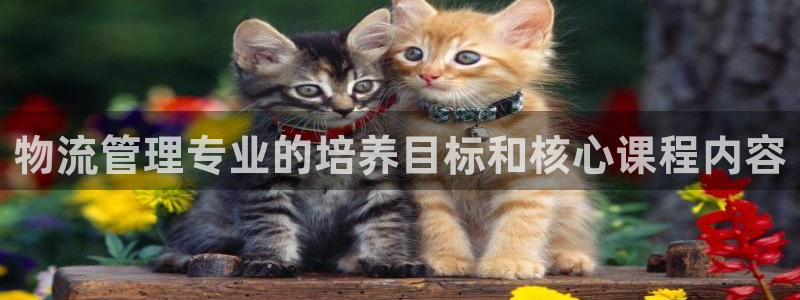 豪门国际麻将胡了在线试玩：物流管理专