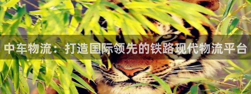 豪门国际app怎么注册账号：中车物流