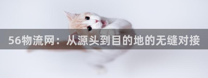 豪门国际龙虎：56物流网：从源头到目的地的无缝对接