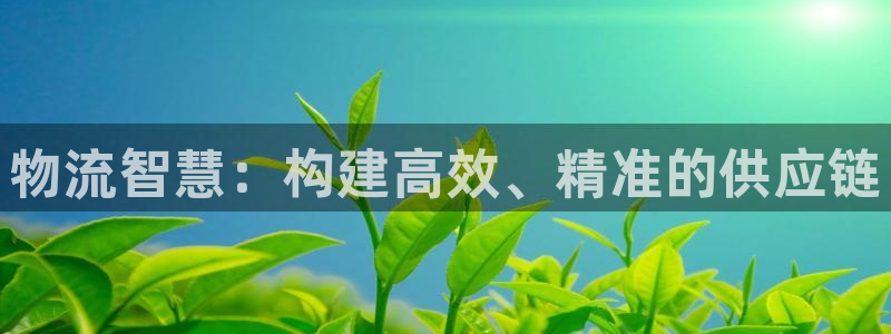 豪门国际初始资金密码在哪里改：物流智
