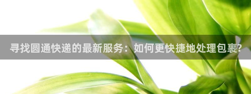 豪门国际能提现吗：寻找圆通快递的最新