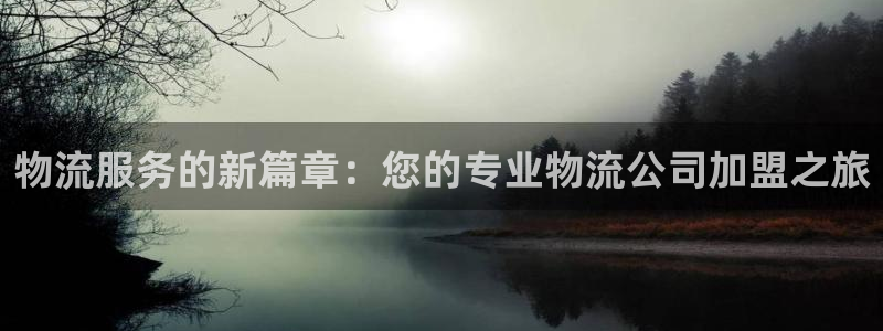 豪门国际官网版2024：物流服务的新