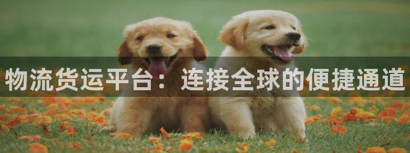 豪门国际app注册地址：物流货运平台