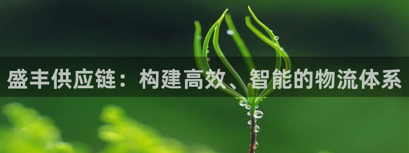 豪门国际账号注册：盛丰供应链：构建高效、智能的物流体系