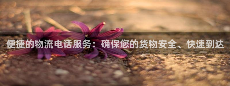 豪门国际p扣除是什么意思：便捷的物流