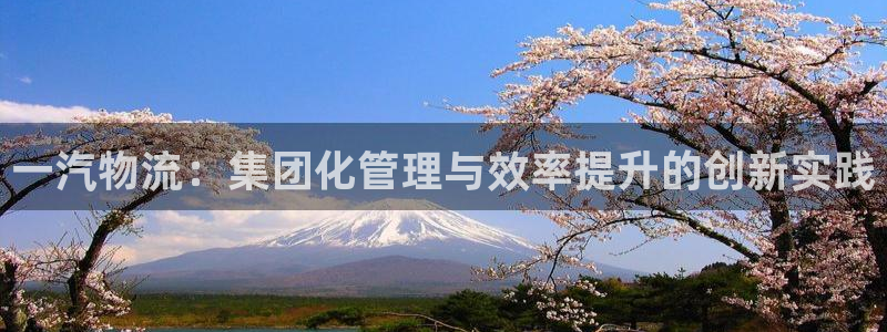 豪门国际娱乐官网网页入口：一汽物流：