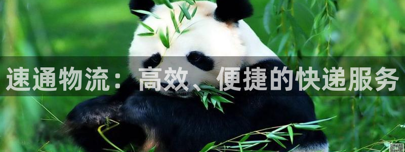 豪门国际链接多少：速通物流：高效、便捷的快递服务