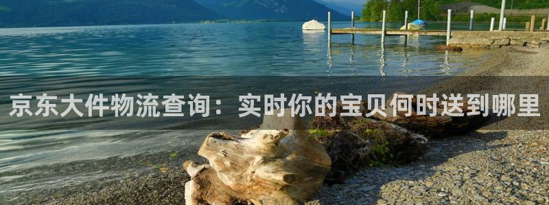 豪门国际推广链接是多少个：京东大件物