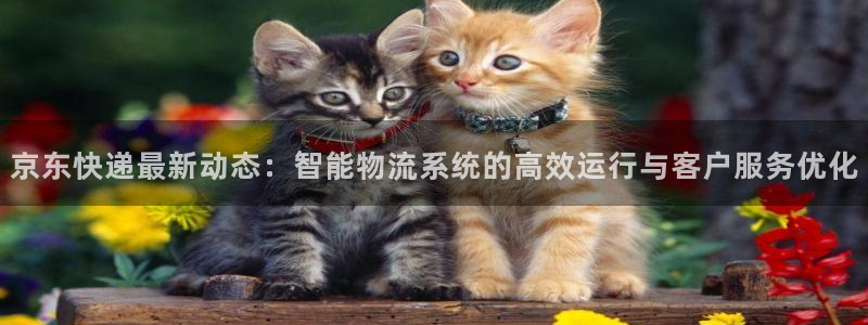 豪门国际ccm官网版