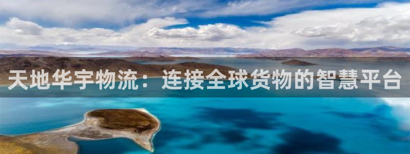 豪门国际大神预测：天地华宇物流：连接