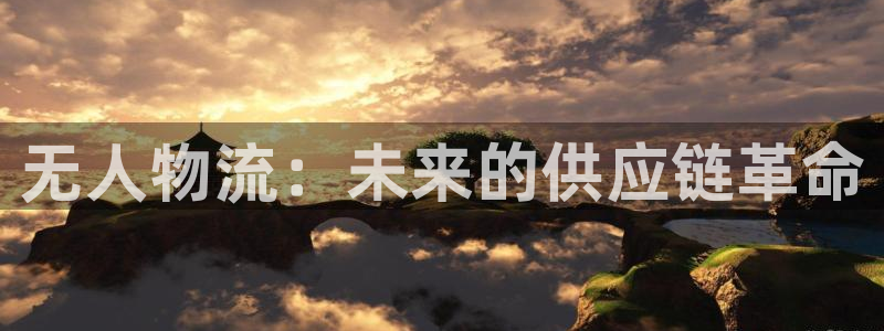 豪门国际官网下载链接：无人物流：未来