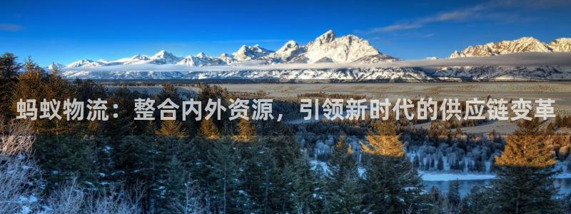 豪门国际软件是什么：蚂蚁物流：整合内